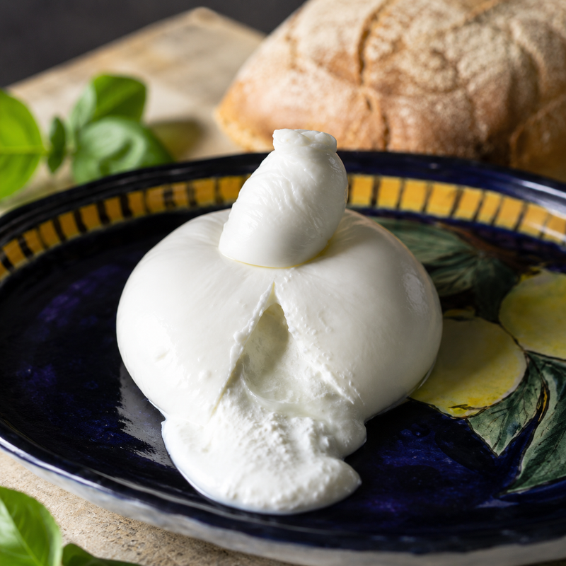 Creamy Regular Burrata